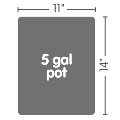 Auto9XL GeoPot Tray System - Image 7
