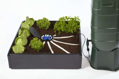 AQUAbox Spyder - Wide Raised Beds & Allotments - Image 3