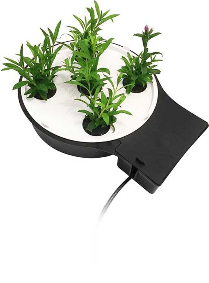 AQUAplate Circle (Compatible with 1Pot XL Tray) - Image 2