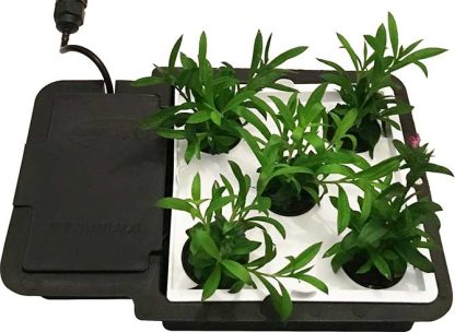 AQUAplate Square (Compatible with 1Pot Tray) - Image 3