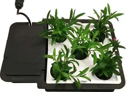 AQUAplate Square (Compatible with 1Pot Tray) - Image 3