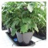 Auto3XL Tray System - Image 5