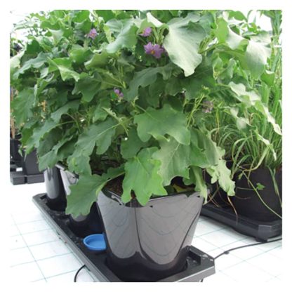 Auto3XL Tray System - Image 5