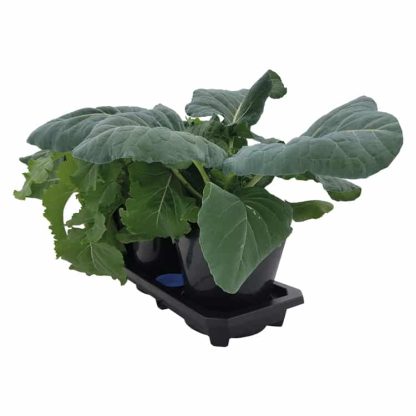 Auto3XL Tray System - Image 6