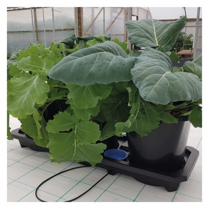 Auto3XL Tray System - Image 4