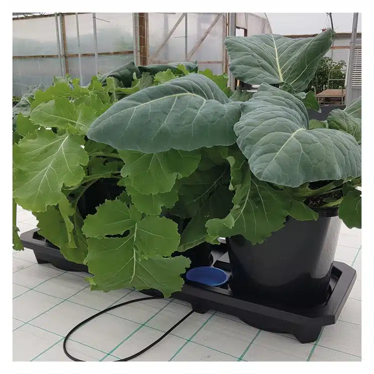 Auto3XL Tray System - Image 4