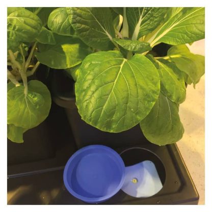 Auto8 3.9gal Pots - Image 6