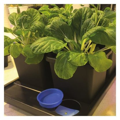 Auto8 3.9gal Pots - Image 7