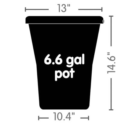 Auto3XL Tray System - Image 2