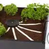 AQUAbox Spyder - Wide Raised Beds & Allotments - Image 5