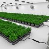 easy2grow 80 - Image 3