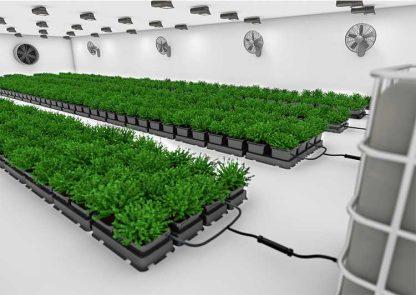 easy2grow16 - Image 3