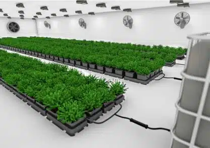 easy2grow 100 - Image 3