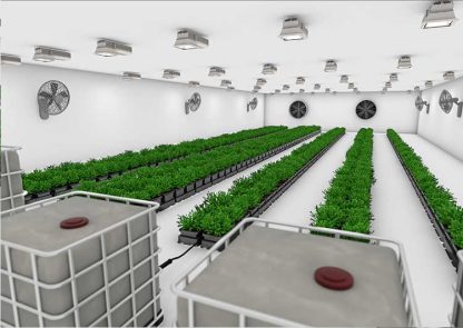 easy2grow16 - Image 2