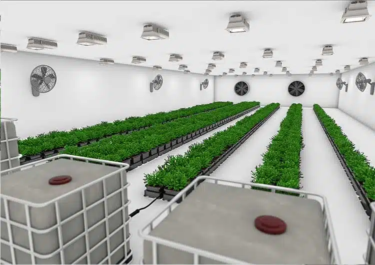 easy2grow 100 - Image 2