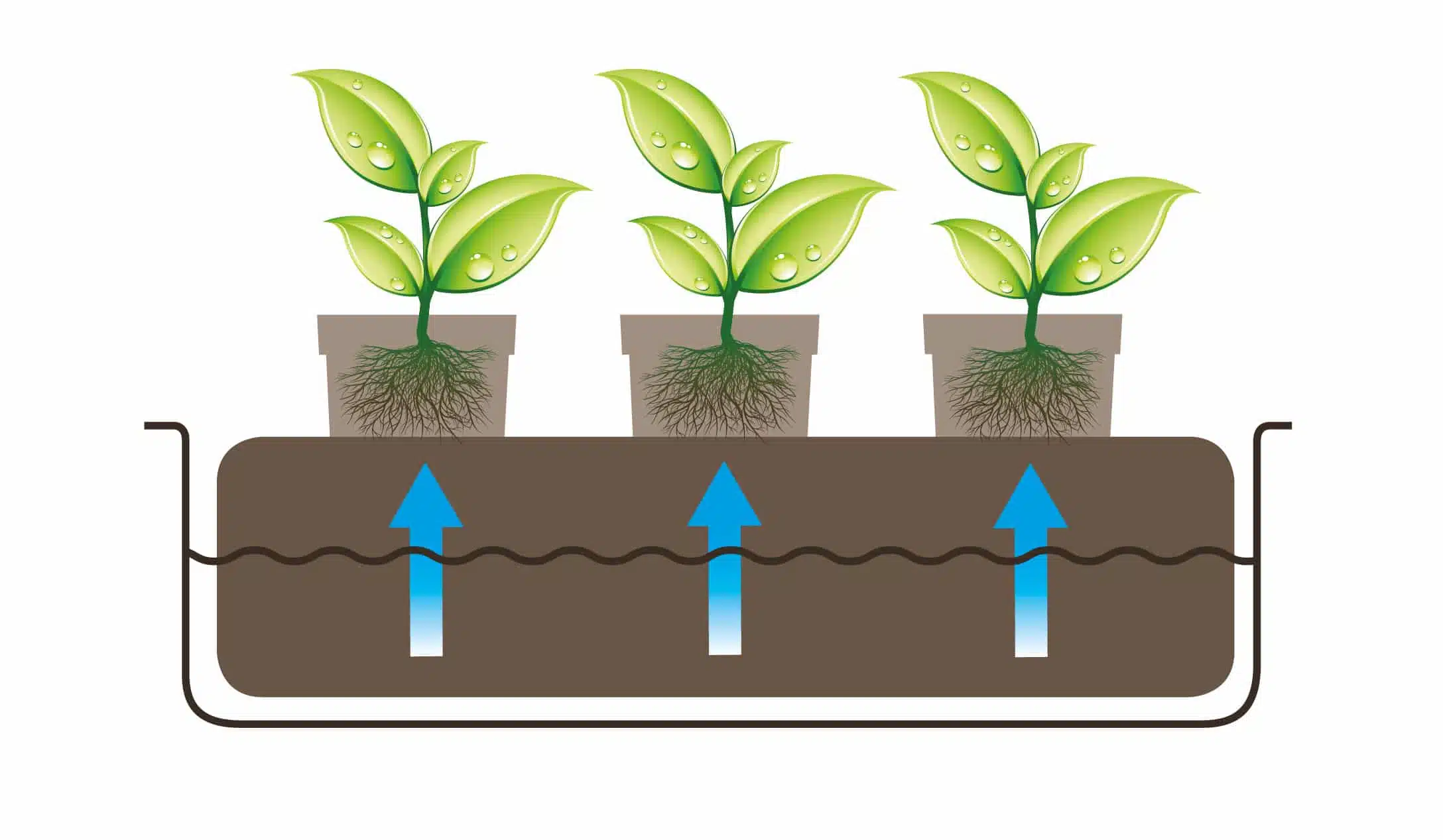 CocoMat and Root Control Pack - Image 7