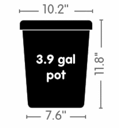 3.9 Gallon Pot White - Image 4