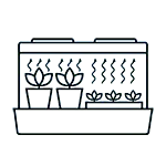Propagation