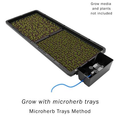 Tray2Grow Microgreen Tray - With Holes - Image 2